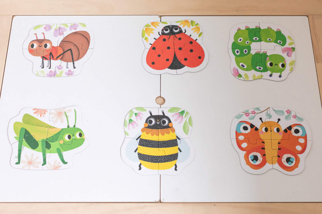 Bug Themed Toddler Puzzle
