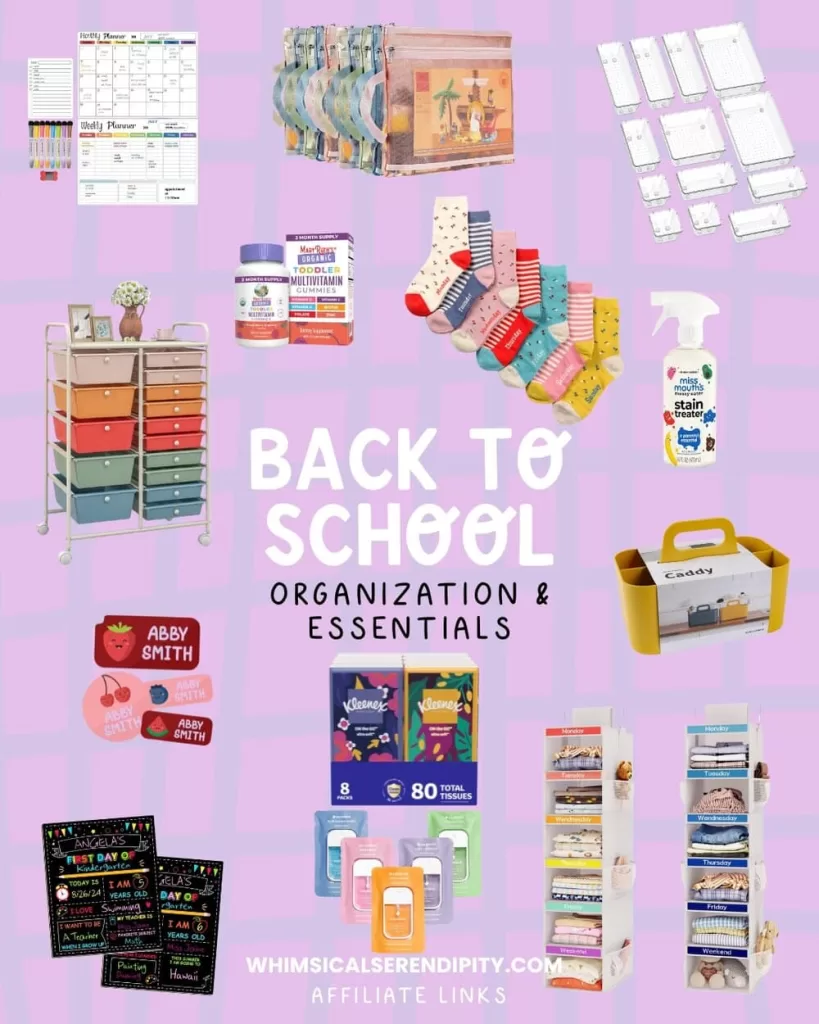 Back To School Organization